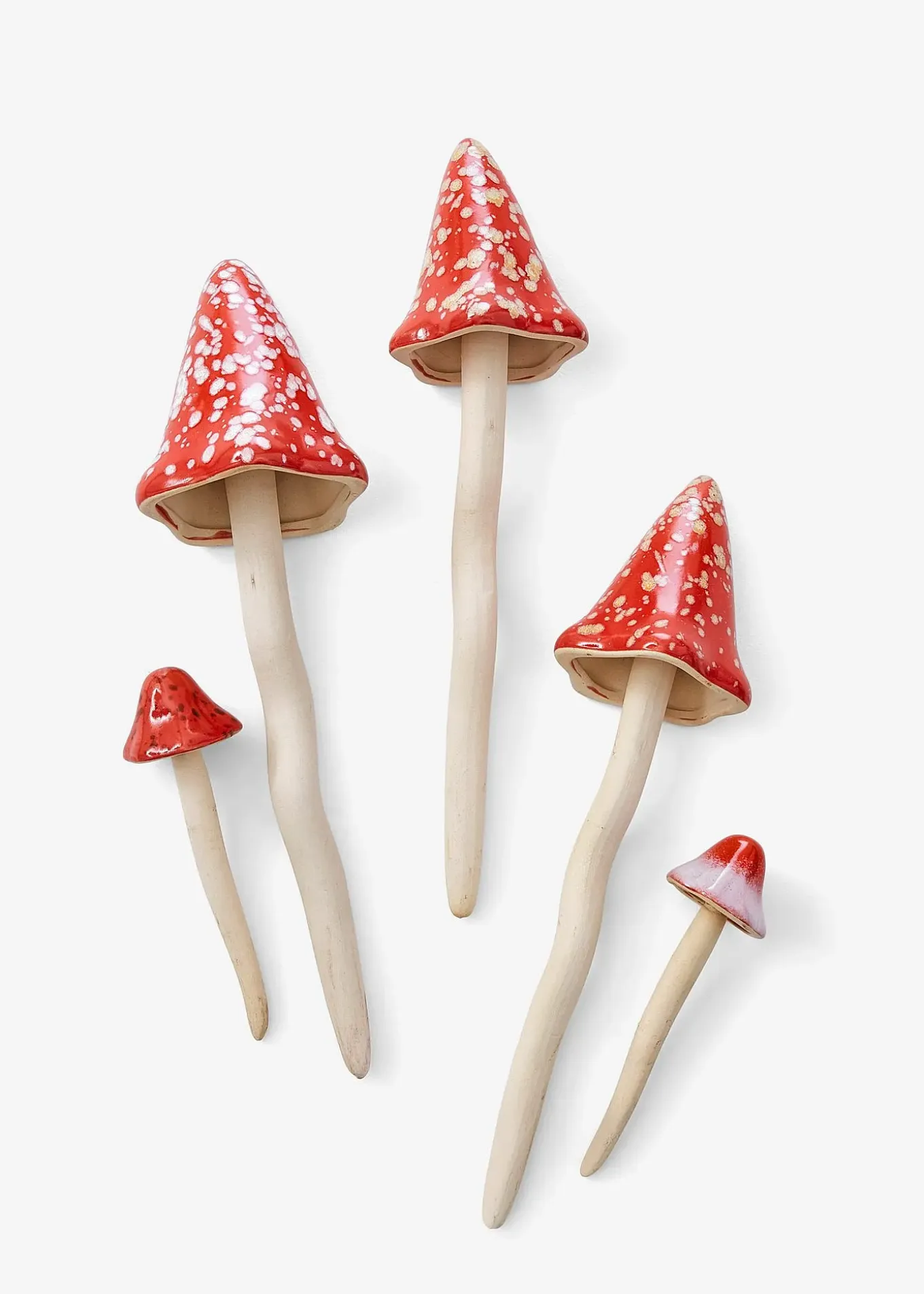 Amanites tue-mouches à piquer (ens. 5 pces)