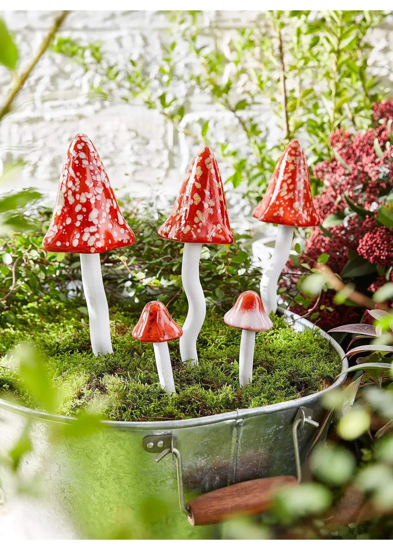 Amanites tue-mouches à piquer (ens. 5 pces)