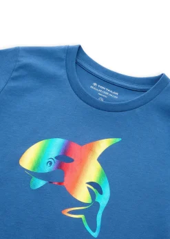 Lot de 2 T-shirts Tom Tailor 100% coton