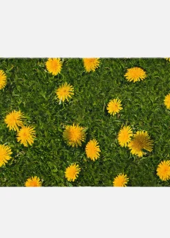 Paillasson imprimé pissenlit