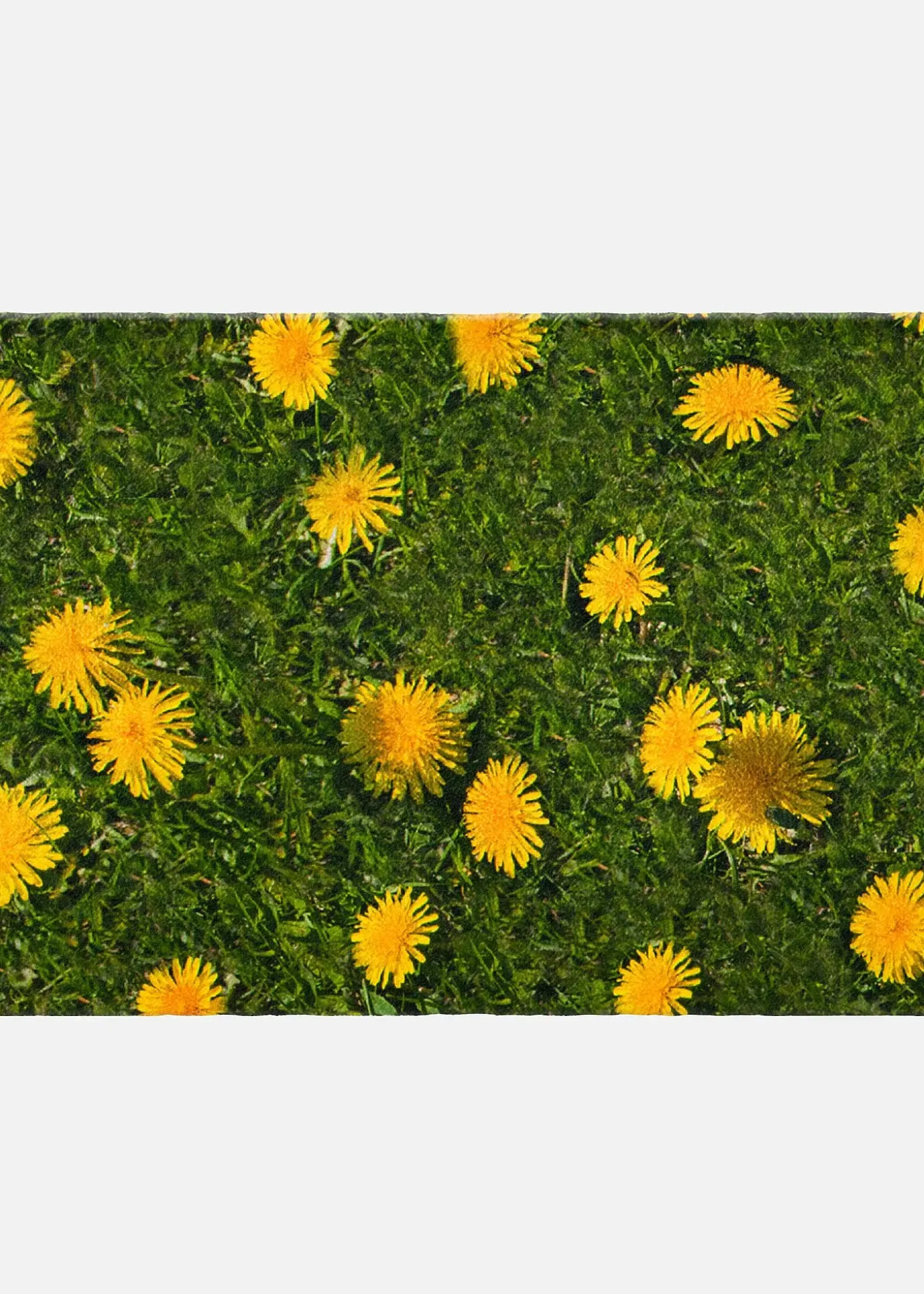 Paillasson imprimé pissenlit