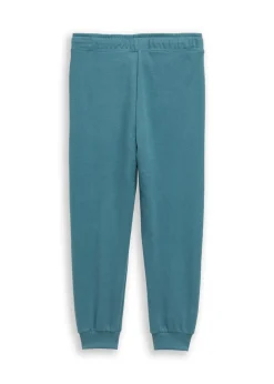 Pantalon de jogging Tom Tailor