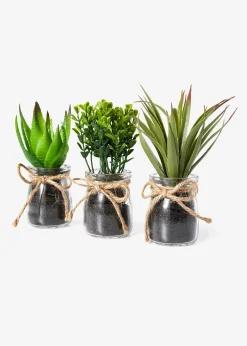Succulentes artificielles en pot de verre (Ens. 3 pces.)