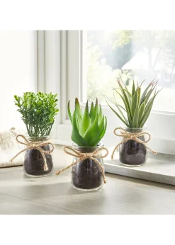 Succulentes artificielles en pot de verre (Ens. 3 pces.)