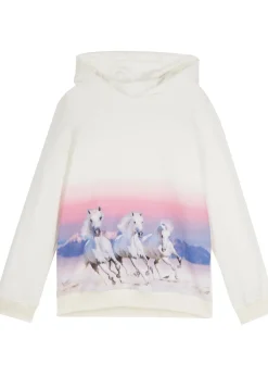 Sweat à capuche 100% coton