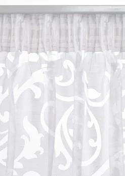 Voilage en dévoré à motif sarments (1 pce.)